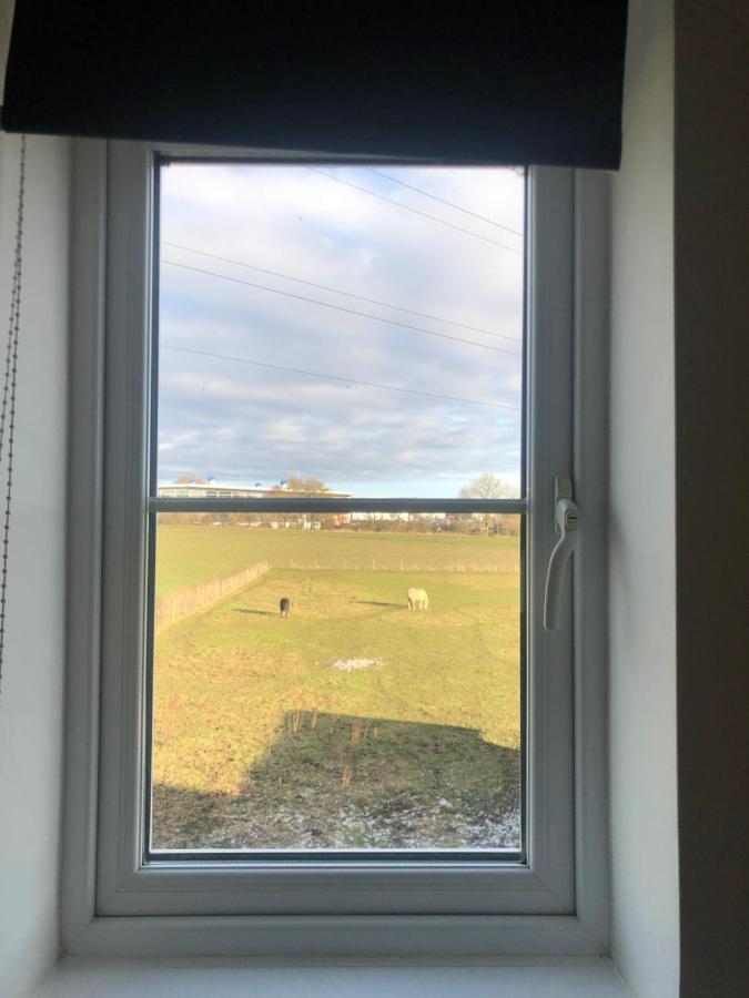 Comfort, Peace And Quiet Guaranteed In 3 Bed * West Auckland